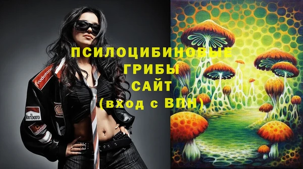 шишки Медвежьегорск