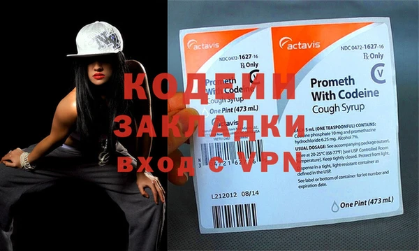 шишки Медвежьегорск