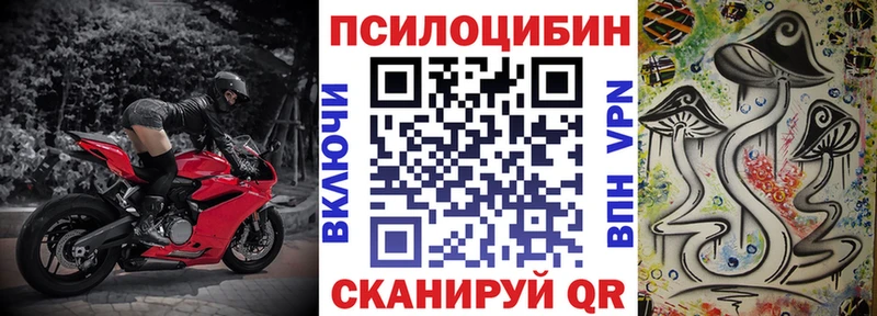 купить наркоту  Заволжск  Псилоцибиновые грибы Psilocybine cubensis 